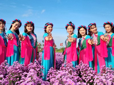 Cánh đồng hoa Nghĩa Hà mở cửa đón khách