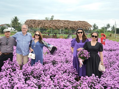 Rực rỡ cánh đồng hoa Nghĩa Hà đón khách “check-in”