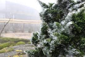 Băng giá xuất hiện trên đỉnh Ô Quý Hồ