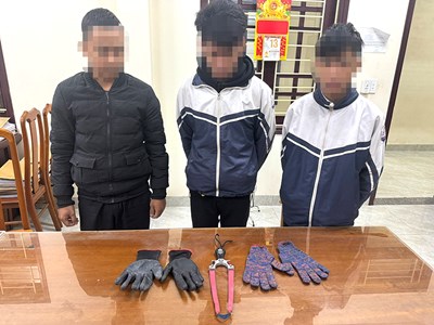 Bắt nhóm đối tượng liên tiếp đập phá kính xe ô tô trộm cắp tài sản