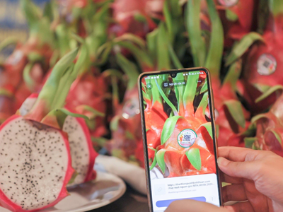 Phát triển nông nghiệp xanh, thích ứng với biến đổi khí hậu từ cây thanh long