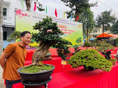 Đa dạng hoa, cây cảnh ở chợ hoa Xuân lớn nhất Quảng Ngãi