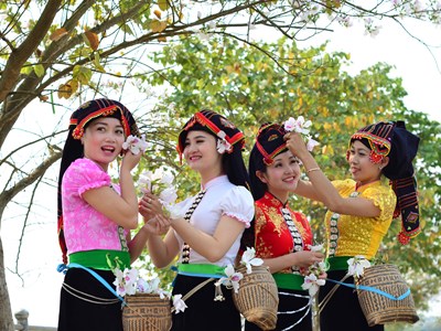 Lễ hội Hoa Ban năm 2024 sẽ diễn ra vào trung tuần tháng 3