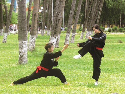 Tuyệt chiêu võ rồng