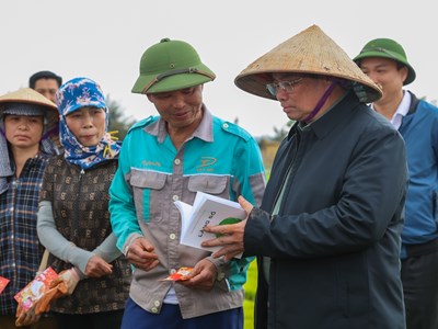 Thủ tướng xuống đồng cấy lúa cùng nông dân Hải Dương