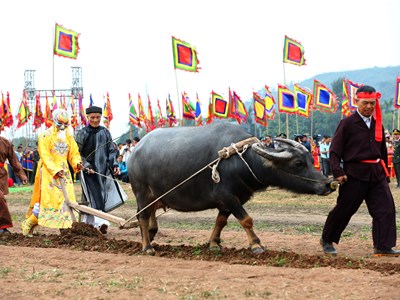 Lễ hội Tịch điền Đọi Sơn 2024: Tôn vinh bản sắc văn hóa truyền thống