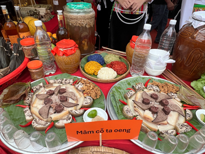 Ấn tượng với văn hoá, ẩm thực truyền thống của đồng bào Mường ở Tiến Xuân