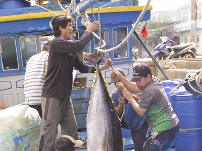 Lộc biển đầu năm từ những chuyến tàu xuyên Tết