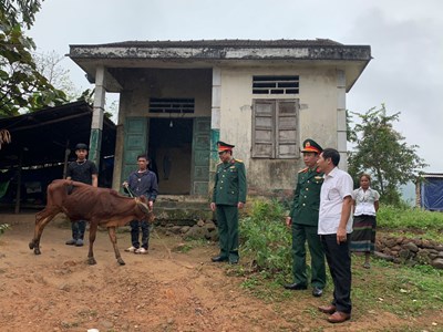 Trao tặng bò sinh kế cho 10 gia đình khó khăn có thanh niên nhập ngũ