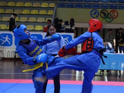 Hà Nội: Trao 27 bộ huy chương giải đấu Vovinam tại Hội khỏe Phù Đổng 2024