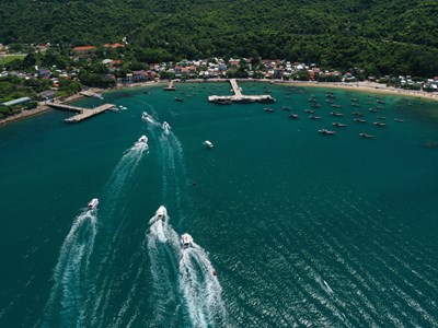 Quảng Nam: Năm phục hồi đa dạng sinh học quốc gia 2024 sẽ khai mạc vào ngày 16.3