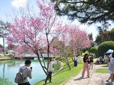 Lâm Đồng: Nhiều hoạt động kích cầu du lịch trong năm 2024