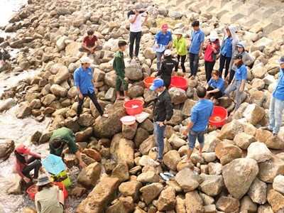 Quảng Nam: Triển lãm về đa dạng sinh học vào giữa tháng 3.2024