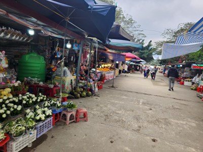 Thanh Hóa vào cuộc xử lý vụ hàng loạt ki ốt xâm phạm di tích đền Cô Bơ