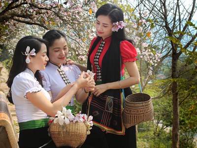 "Huyền tích UVA": Điểm nhấn đậm bản sắc văn hóa tại Lễ hội Hoa Ban