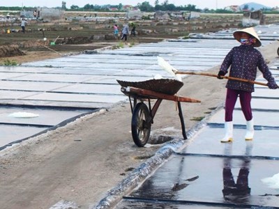 Diêm dân phấn khởi sẵn sàng vào vụ sản xuất mới