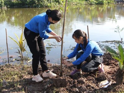 Trồng cây xanh cải thiện môi trường, giảm nhẹ thiên tai