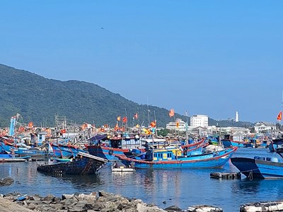 Đà Nẵng: Nỗ lực cải tạo “điểm nóng” ô nhiễm môi trường để phục vụ du lịch