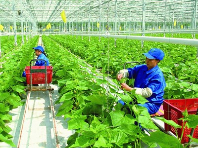 Thể chế hóa chủ trương của Đảng về nông nghiệp, nông dân, nông thôn trong Luật Đất đai 2024