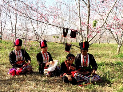 Giải pháp nào liên kết phát triển du lịch Điện Biên hiệu quả?