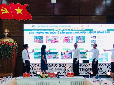 Quảng Nam: Khai trương sàn thương mại điện tử sâm Ngọc Linh