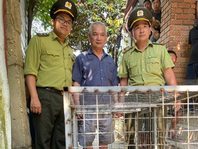 Huế: Người dân giao nộp cá thể trăn đất nặng 85kg cho kiểm lâm