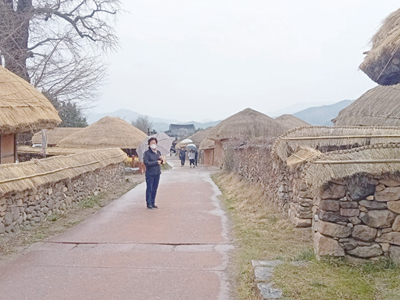 Tour Hàn Quốc hút khách Nam Trung Bộ