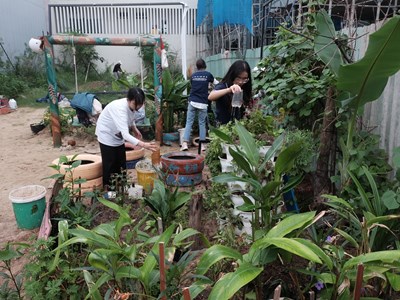 Giữ màu xanh cho môi trường sống