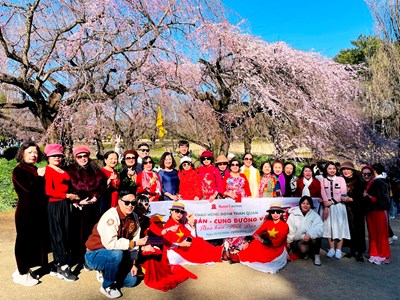 Du khách khắp thế giới đổ về Nhật Bản ngắm hoa anh đào