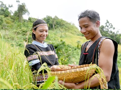 Đại hội đại biểu các DTTS tỉnh Quảng Nam dự kiến diễn ra vào tháng 9.2024