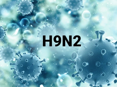 Từ ca mắc cúm A/H9 đầu tiên: Bộ Y tế khuyến cáo phòng bệnh