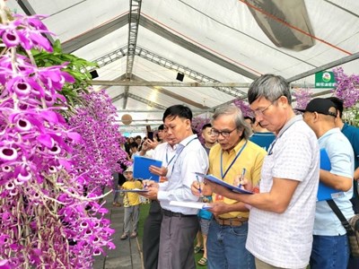 'Hương sắc Lai Châu' hấp dẫn người chơi lan và du khách
