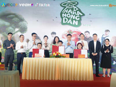 Sản xuất show truyền hình thực tế về văn hóa vùng miền