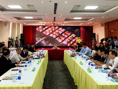 Ninh Bình - Thanh Hóa - Nghệ An - Hà Tĩnh: Một hành trình, nhiều trải nghiệm thú vị