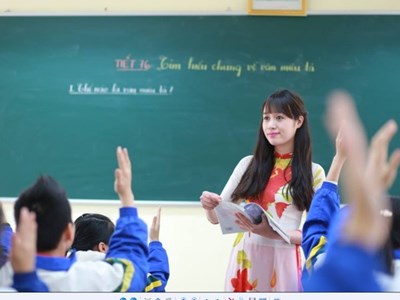 Chấm thẩm định bài thi tuyển dụng giáo viên: “Tôi không muốn đồng nghiệp bị kỷ luật”