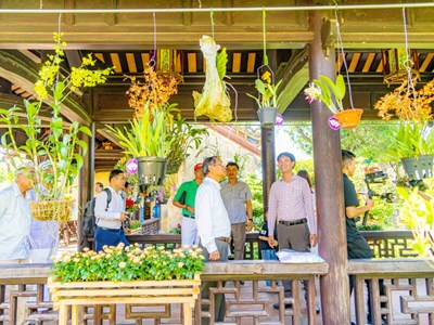 Trưng bày hơn 1.000 tác phẩm cây kiểng và hoa phong lan tại khu di sản Huế 