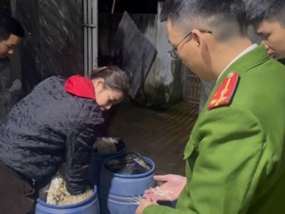 Phát hiện cơ sở dùng hóa chất cấm để sản xuất giá đỗ 