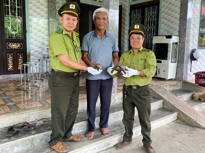 Thành phố Huế: Nhiều người dân tự nguyện bàn giao động vật hoang dã, quý hiếm