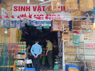 Đi uống cà phê nếu mang theo chim phải chứng minh nguồn gốc