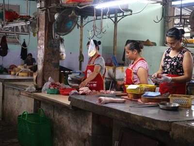 Số ca mắc liên cầu lợn tăng, Huế triển khai quyết liệt các giải pháp phòng chống