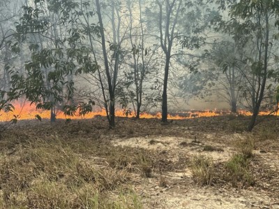 Huế: Gần 400 người tham gia chữa cháy rừng ở vùng ven biển