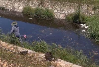 Làm rõ nguyên nhân cá chết ở Khu công nghiệp Phong Điền