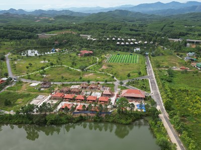 Rà soát thủ tục để xử phạt vi phạm theo quy định