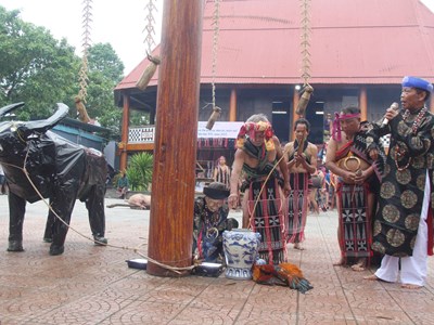 Bảo tồn Lễ hội Mừng lúa mới của người Cơ Tu để phát triển du lịch miền núi