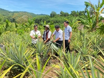 Đưa thông tin đến với nông dân, tạo động lực giảm nghèo bền vững
