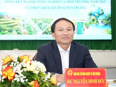 Đề nghị kỷ luật Giám đốc Sở Nông nghiệp và Môi trường TP. Huế