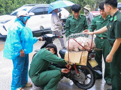 Trao sinh kế hỗ trợ phụ nữ vùng biên A Lưới thoát nghèo