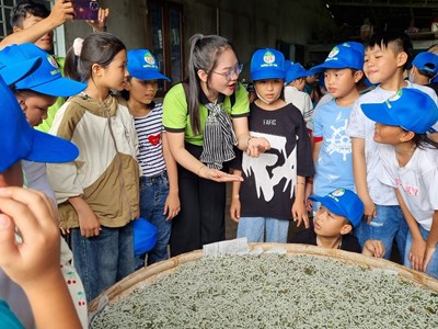 Khám phá làng nghề trồng dâu nuôi tằm