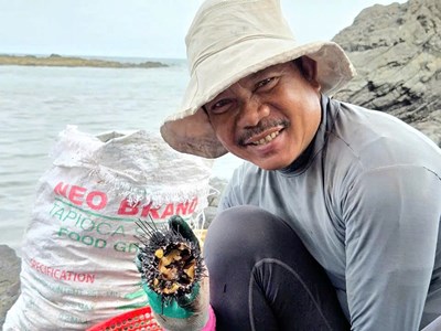 Mùa “săn” nhum biển của ngư dân Quảng Ngãi