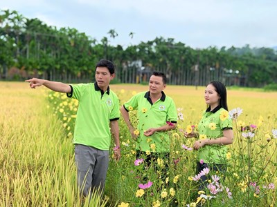 Người trẻ tạo “sức sống” cho du lịch cộng đồng 